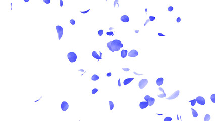 青いバラの花びらの乱舞：背景透過