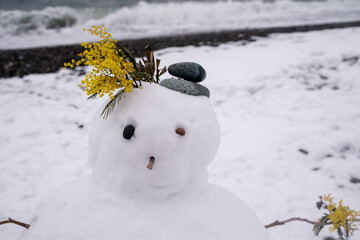 Cute snowman decorated with yellow mimosa flowers against the blue sea on a snowy beach in winter. Holiday background with cute snowman. Christmas card