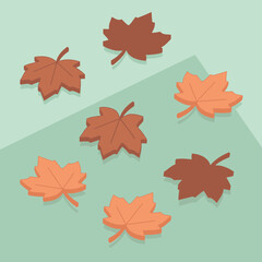 Autumnal maple leaves in various shades of orange and brown arranged on a mint green background. Isometric design with a flat style.