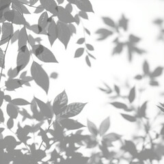 Fototapeta premium shadow overlay effect. Gray shadow of leaves isolated on white background. Plant foliage leaf shadow light effect. Mockup Blurred tree branch shadow. Ideal for summer spring design elements PNG