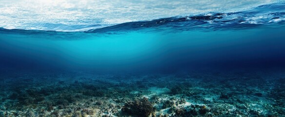 Fototapeta premium The serene underwater landscape showcasing coral and gentle ocean waves above.