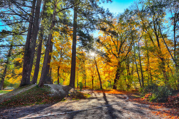 Remarkable autumn view in city park of Sell Am See.
