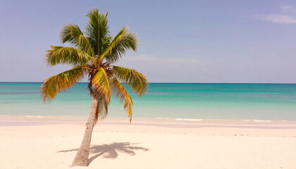 Fototapeta premium Palm tree beach wallpaper