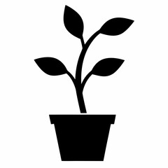 Potted Plant Seedling Vector