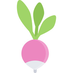 Fresh Radish Icon Vector