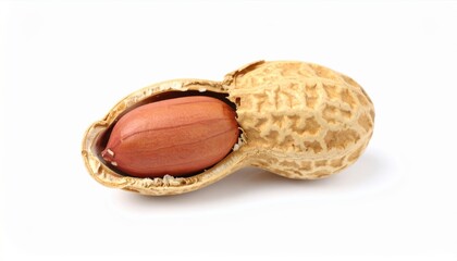 Detailed image of a peanut partially opened in its shell, showcasing texture and natural simplicity on a white background.