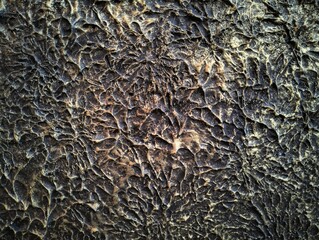 Abstract wall texture with a cracking pattern.