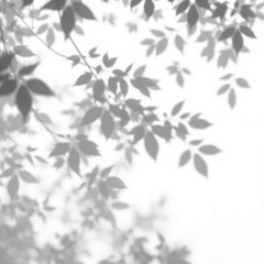 shadow overlay effect. Gray shadow of leaves isolated on white background. 
Plant foliage leaf shadow light effect. Mockup Blurred tree branch shadow. Ideal for summer spring design elements PNG
