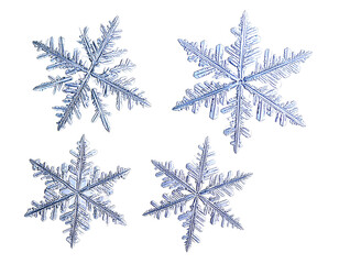 Set of different snowflakes isolated on white background. Macro photo of real snow isolated on transparent background.