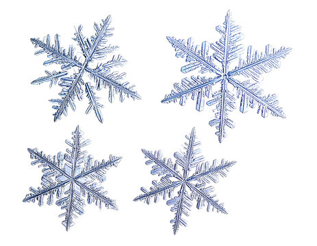 Set of different snowflakes isolated on white background. Macro photo of real snow isolated on transparent background.