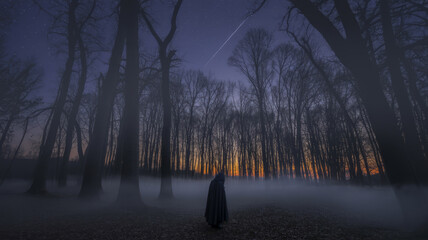 Mysterious figure in a foggy forest at night with an eerie atmosphere