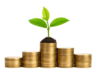 Pile of Coins with a Growing Plant on Top Symbolizing Financial Growth, isolated on a transparent background.