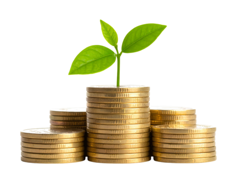 Pile of Coins with a Growing Plant on Top Symbolizing Financial Growth, isolated on a transparent background.
