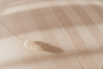 Beige striped bedding with dried grass in sunlight
