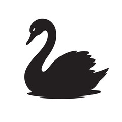 black swan vector illustration