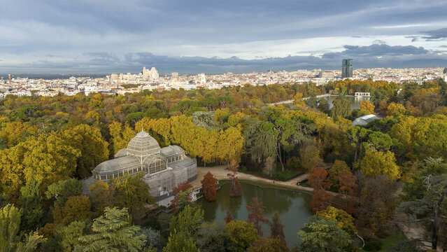 Aerial view of Parque el Retiro with Palacio de Cristal surrounded by vibrant autumn foliage and a tranquil pond, Retiro, Madrid, Spain.