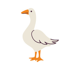 Cute happy goose, doodle, hand drawn, trendy design. Goose cartoon character, isolated on white background, vector illustration for packaging design, posters, children's book. Farm animal. Goose icon
