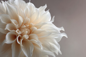 Fototapeta premium capture photorealistic image of single flower with intricate details against clean minimalist background