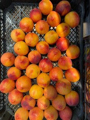  Fresh peaches arranged in a black crate, ripe and colorful, ready for sale or display.
