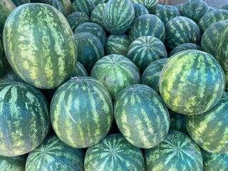 Harvested watermelons lying together outdoors.
