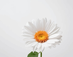 The flower are the focal point, rendered in a vibrant, almost painterly red with white and gray accents in the centers.