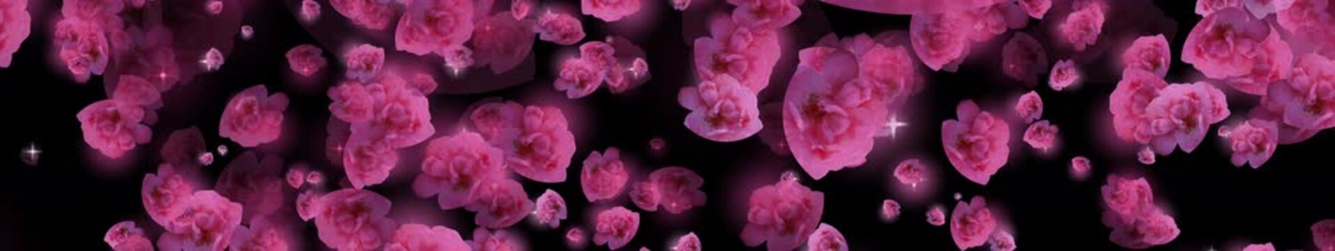 ultrawide Cherry Blossom falling for overlays, Graduation of nature's evolution, a shower of cherry blossoms embraces tranquility and harmony, a cosmic bg for scenes, titles, and logos.
