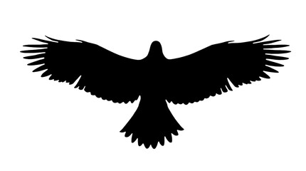 Fototapeta premium Gobo texture Minimalist eagle silhouette pattern for projection