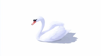 Fototapeta premium Swan resting on bright white surface