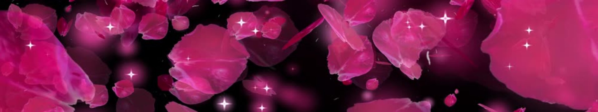 ultrawide Cherry Blossom falling for overlays, Graduation of nature's evolution, a shower of cherry blossoms embraces tranquility and harmony, a cosmic bg for scenes, titles, and logos.