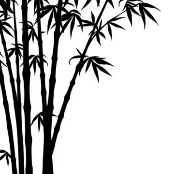 Abstract Gobo Shadow Pattern of Bamboo Stalks and Leaves