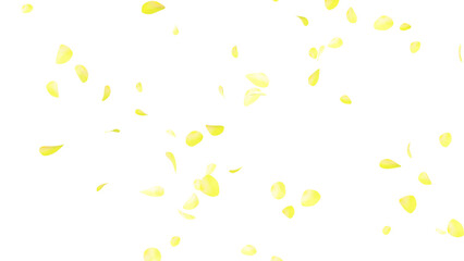 黄色いバラの花びらの乱舞：背景透過