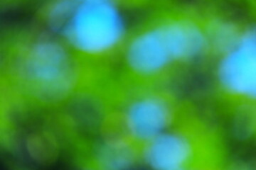 Obraz premium 深緑と青空をぼかした背景素材 