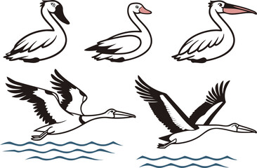 Four Aquatic Birds in a Peaceful Water Setting