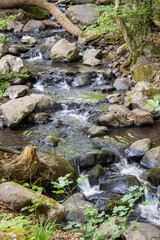 Mountain stream flowing over rocks in forest