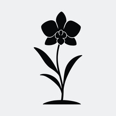 Silhouette orchid flower elegant blossom black and white vector illustration