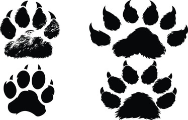 Fototapeta premium Black bear paw prints, vector EPS