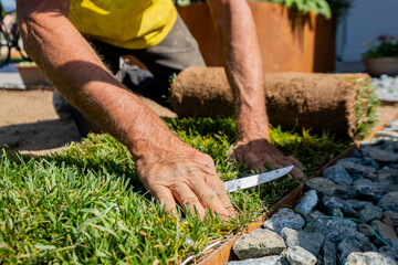 Precise Turf Installation at Garden Border