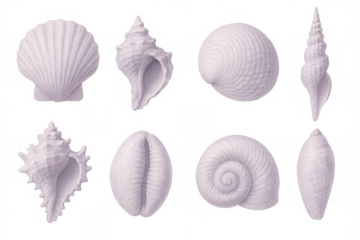 Eight different light purple seashells are displayed on a transparent background, forming a diverse collection of ocean treasures
