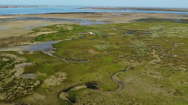 Ria Formosa with riverbed exposed at low tide in Algarve, Portugal