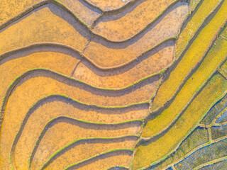 Beautiful morning view indonesia panorama landscape forest with beauty color and sky natural light