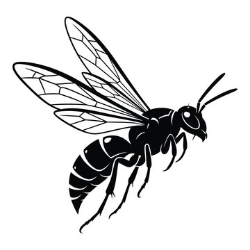 black wasp flying on white background clip art preview