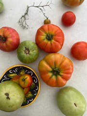 Organic tomatoes fresh from outside garden for homemade kitchen