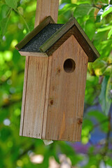 a bird house in a tree in summer