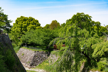 Beautiful Landscape of Nara