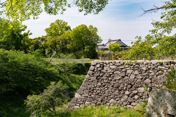Beautiful Landscape of Nara