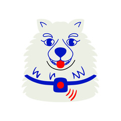 Portrait of a Samoyed with a GPS tracker on a collar. Technological device for remote tracking of a dog's location.