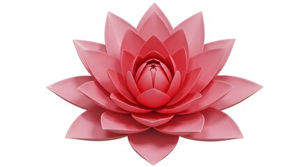 Fototapeta premium Pink lotus flower close up