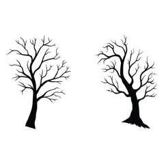 Vector silhouette of a tree with branches and leaves in nature illustration