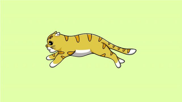 Cat running, loop animation, motion graphics isolated on green 