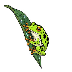 Adorable Green Tree Frog on Leaf